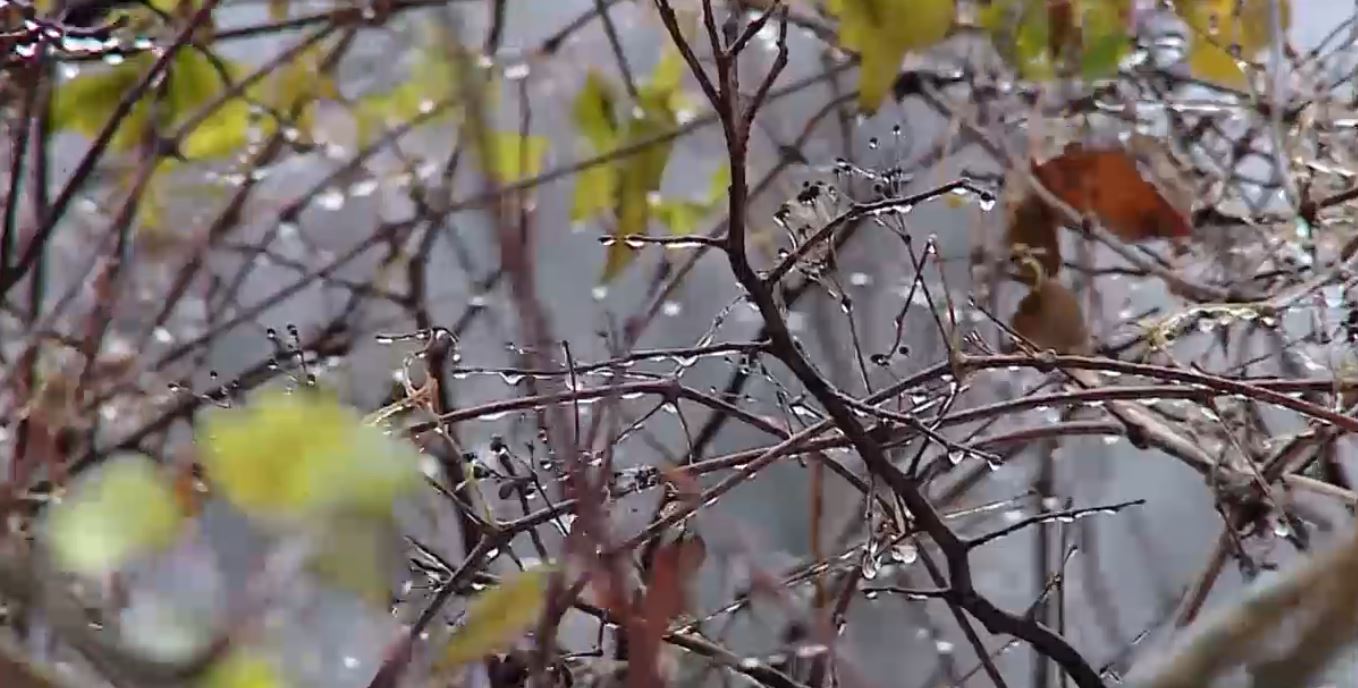 В выходные на Кубани серьезно похолодает